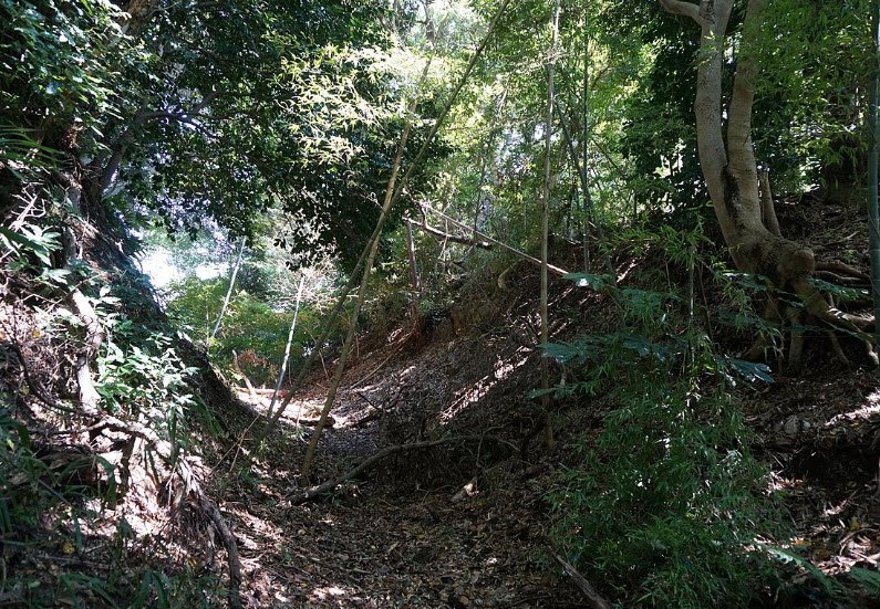 Tamanawa Castlesite, Japan